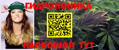Альфа ПВП Жуковский