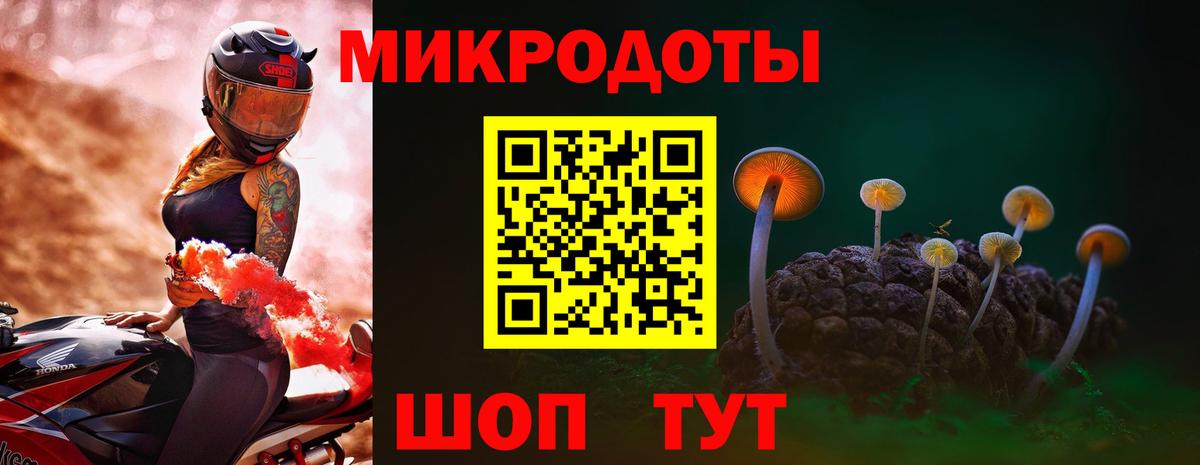 Галлюциногенные грибы прущие грибы Лесной
